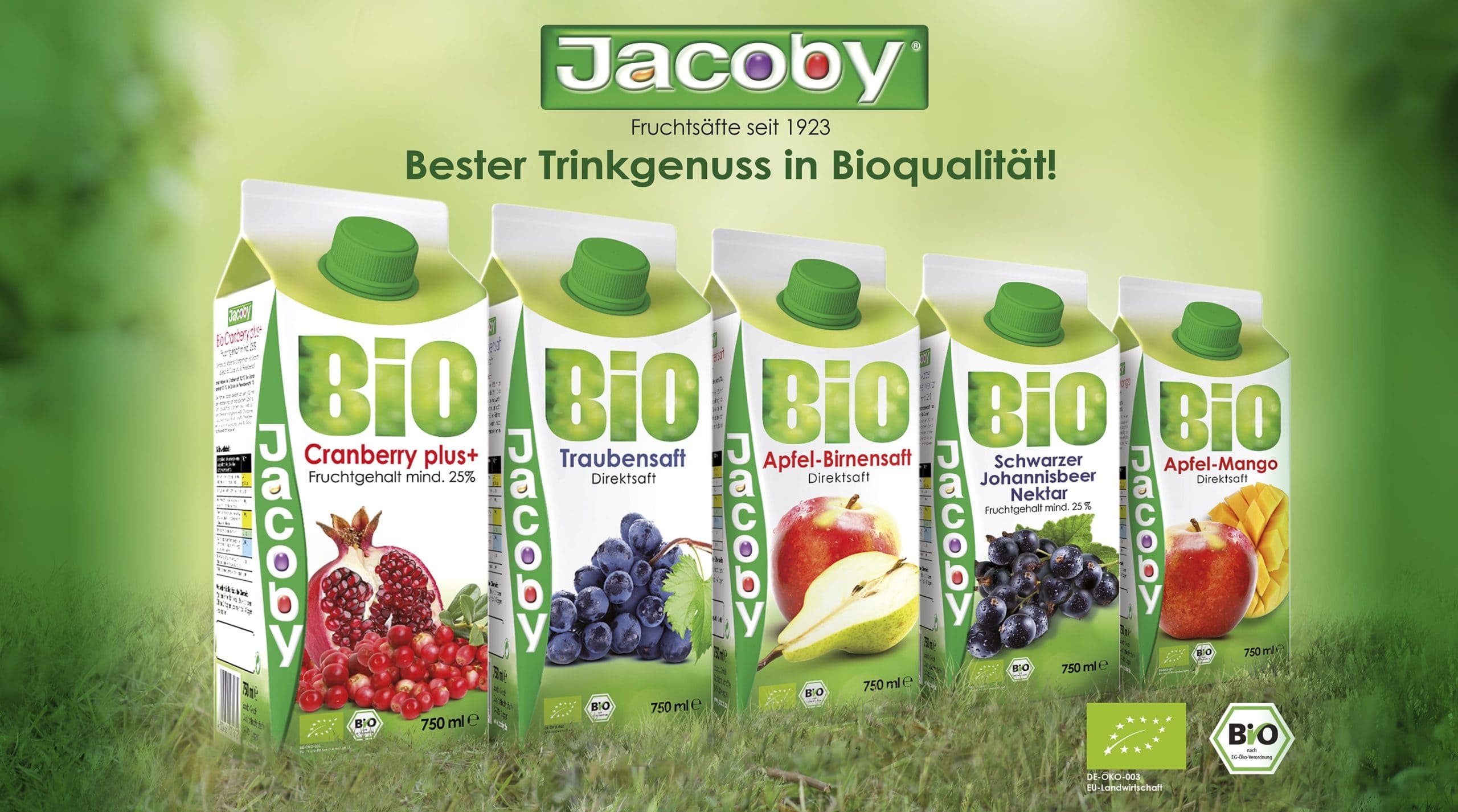 jacoby