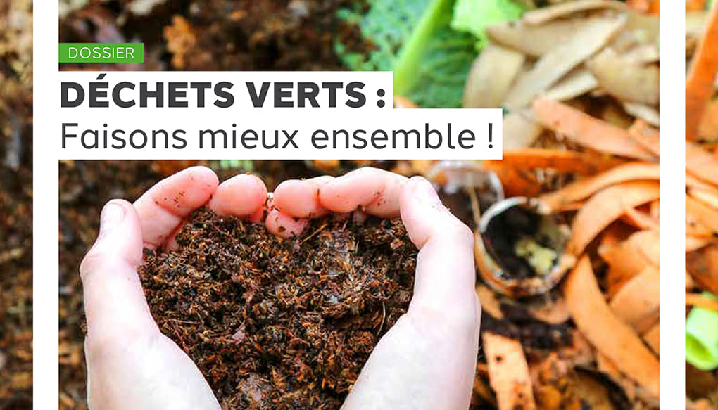 vert et bleu
